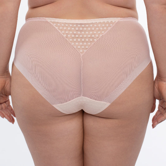 Sheer Mesh Tulle Embroidered Brief Panty Donna-1