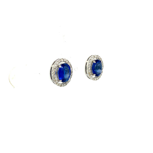 Sapphire and Diamond Earrings in 18K White Gold - KGT 33088-1