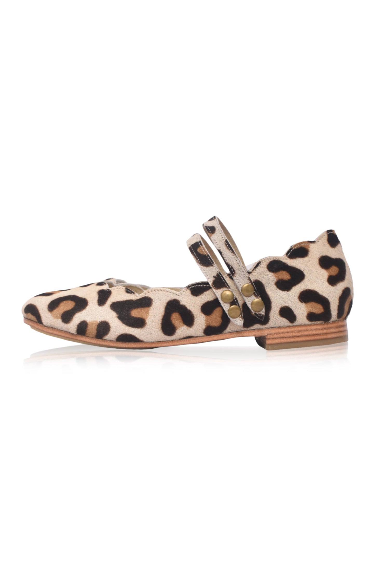 Daydream Animal Printed Flats-5