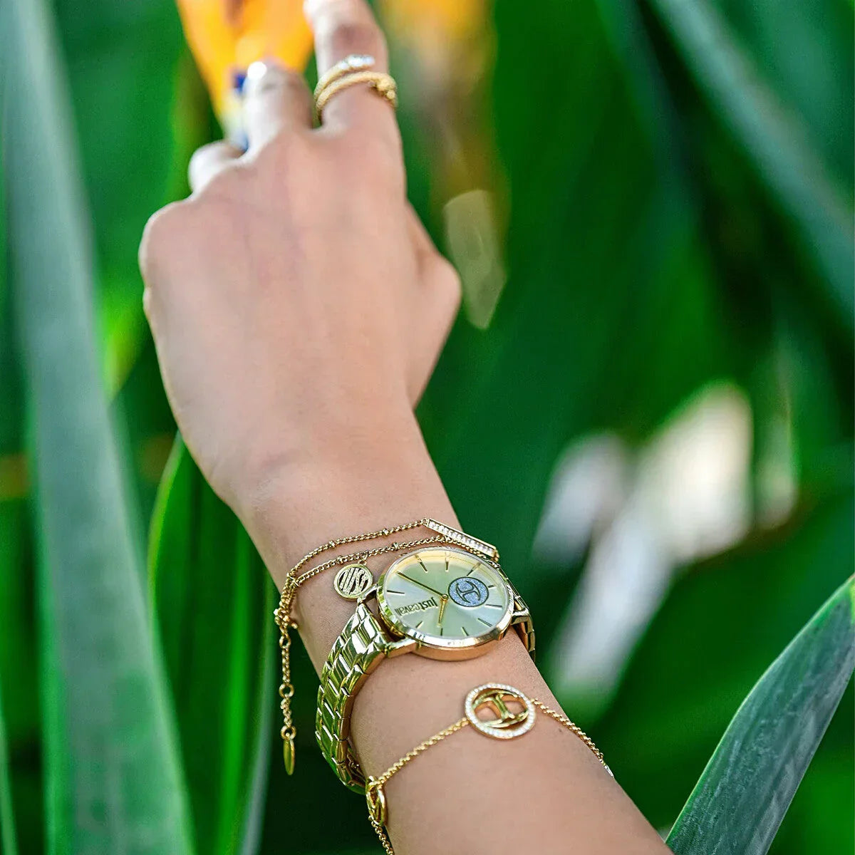 Just Cavalli Women's Gold Stainless Steel Watch, Champagne Dial | Jc1l117m0065-4