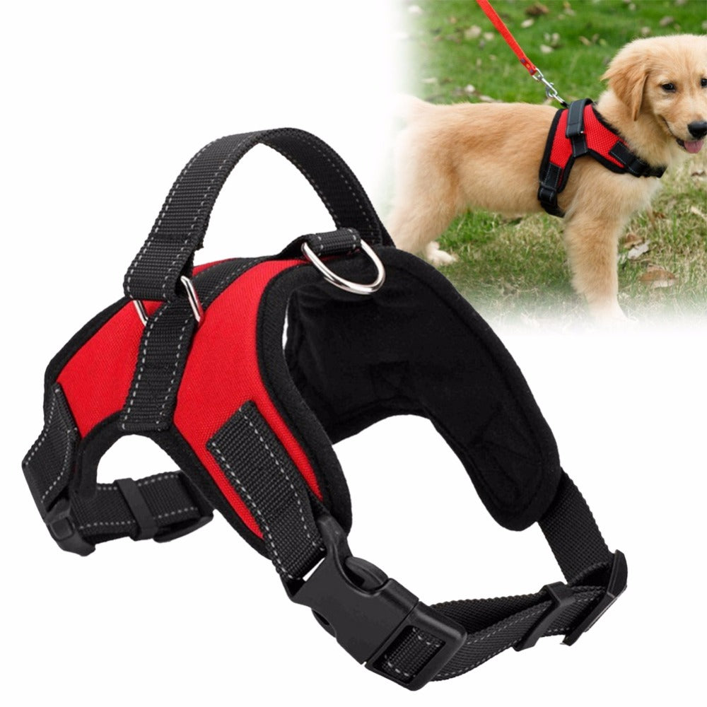 Adjustable Dog Harness 🐕🦺 Comfortable & Durable Pet Harness-3
