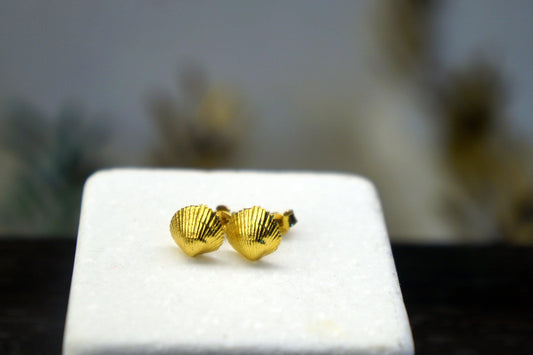 Sea Shell Earrings: Nature-Inspired Small Studs (Silver or Gold Plated)-1