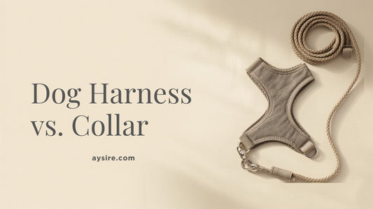 Dog Harness vs Collar. A coiled cotton rope leash, a flat step-in harness and a matching collar with a brass clip.