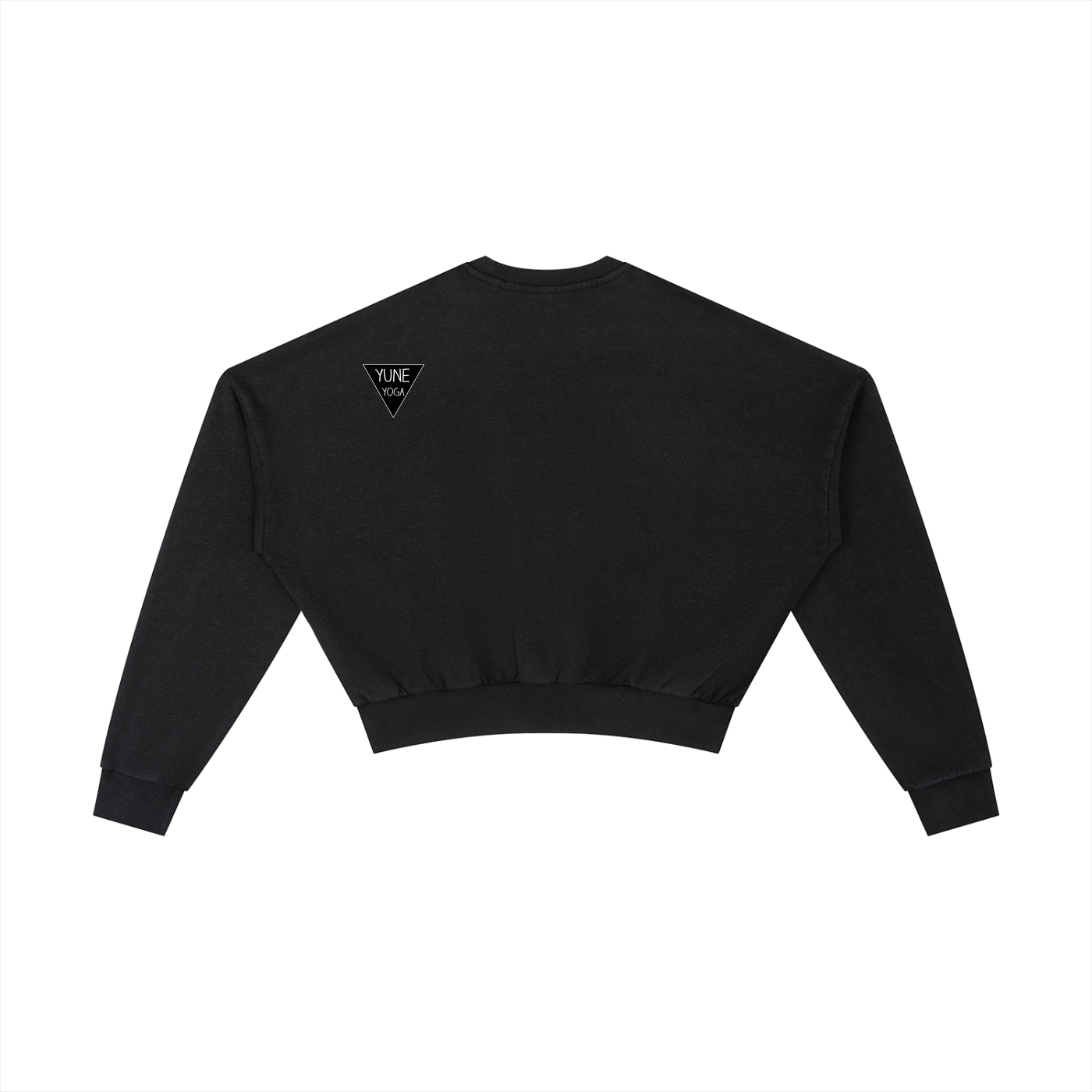 Vintage Washed Cropped Sweatshirt-2