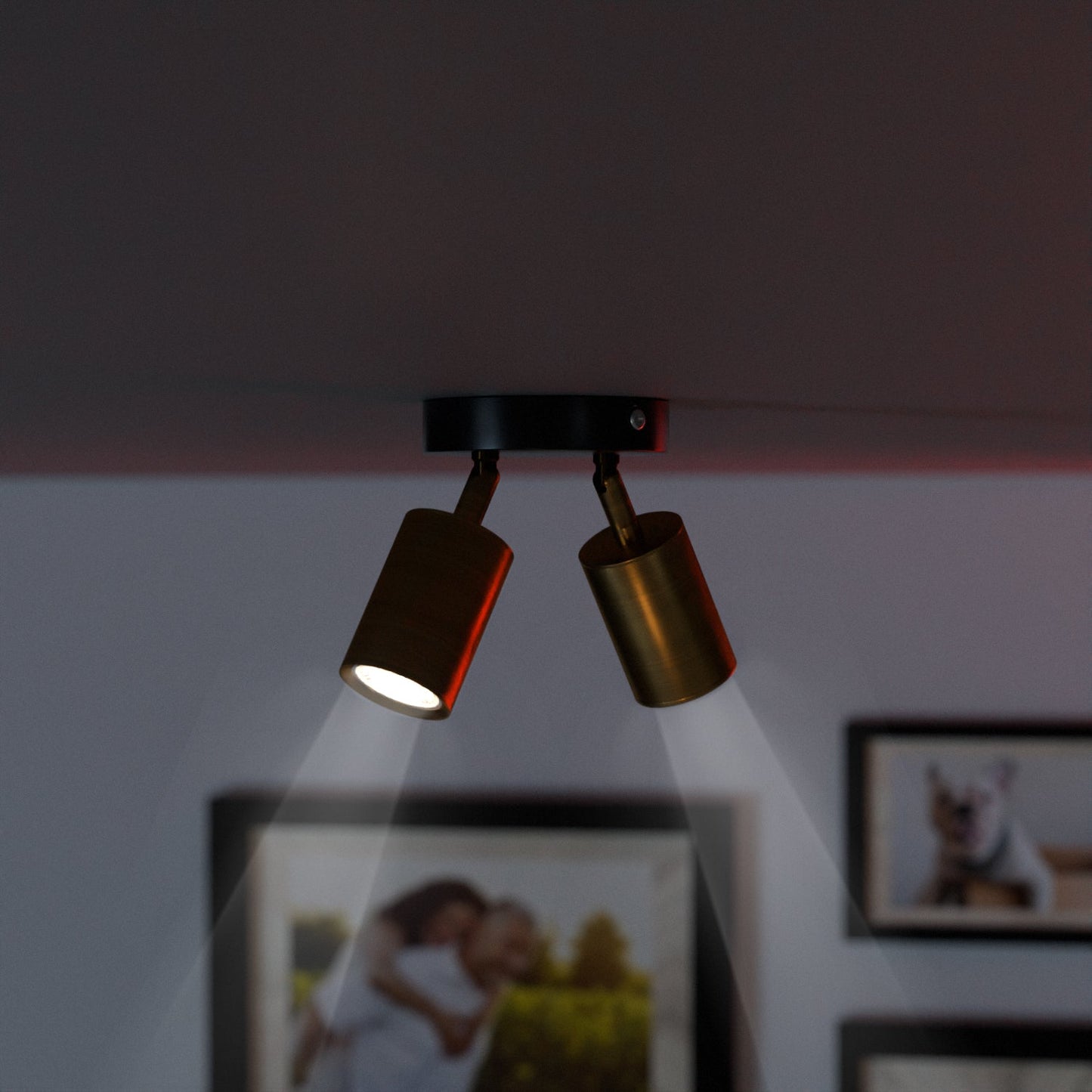 Adjustable Double Head Rotatable Ceiling Light GU10 Spotlight-5630