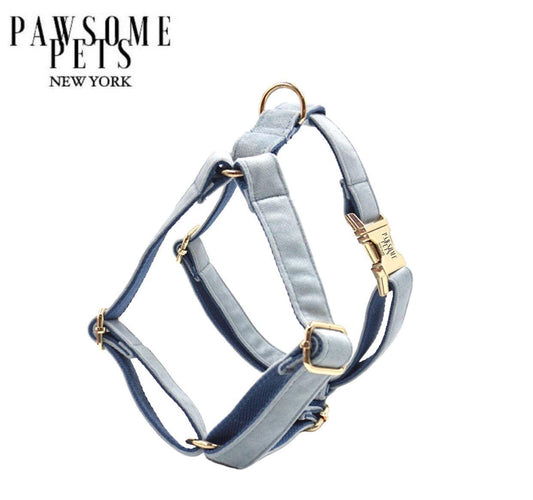 Blue grey step-in dog harness with matching rope leash from PAWSOME PETS, featuring adjustable straps and padded comfort for pets.