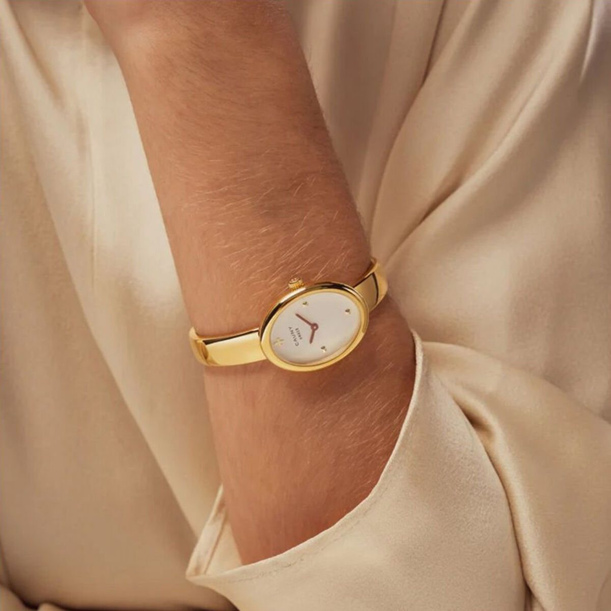 Ladies' Watch Cauny CAB002SM-2