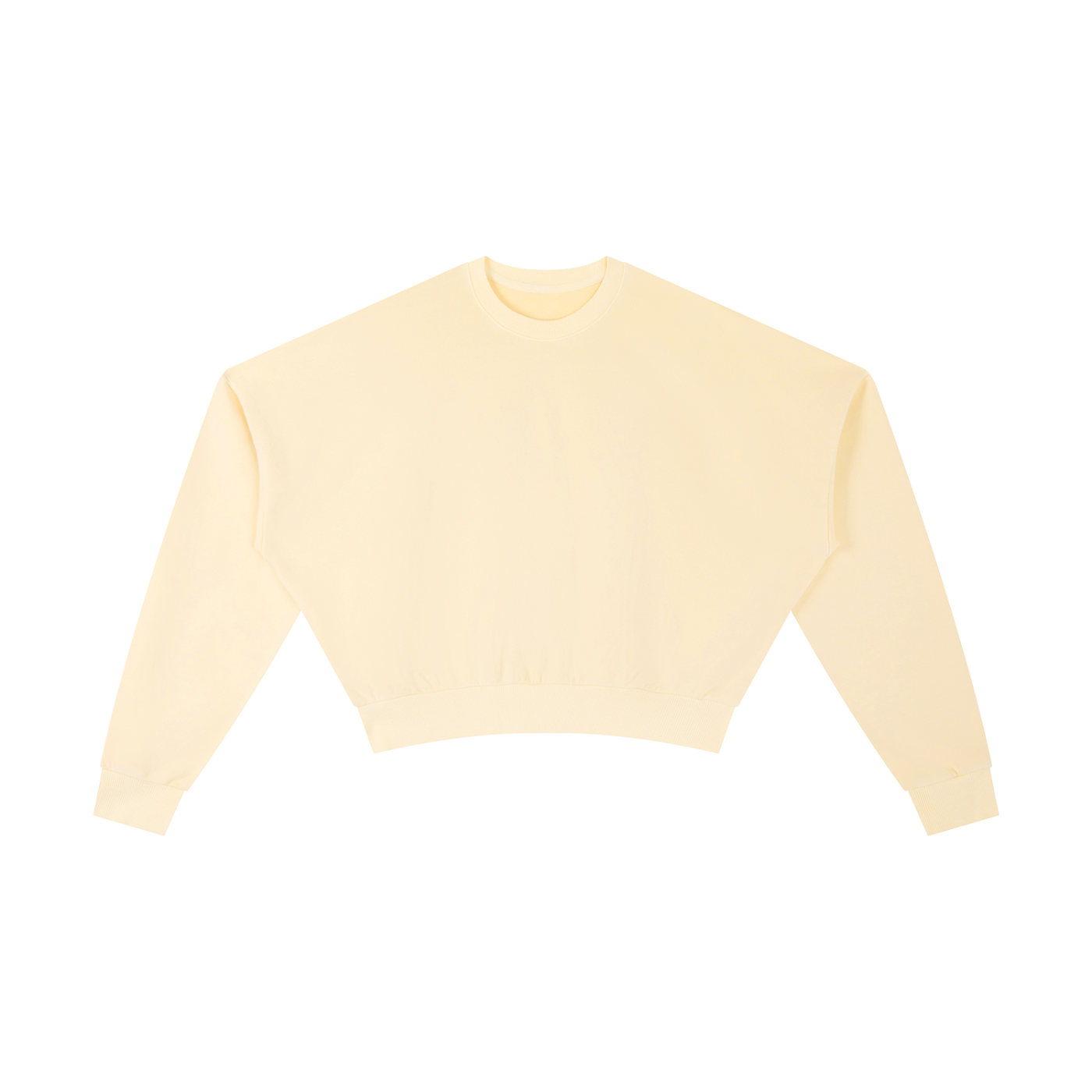 Vintage Washed Cropped Sweatshirt-3
