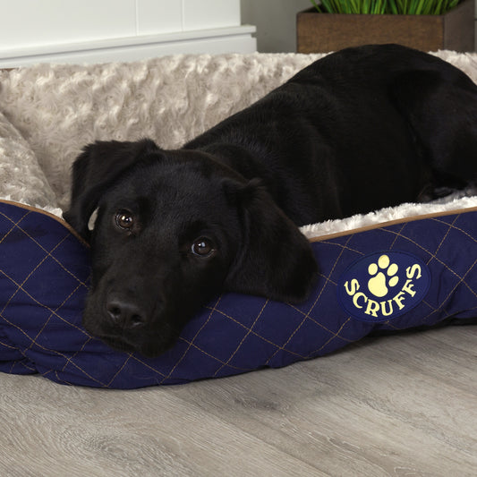 Wilton Box Dog Bed (in Blue, Grey, Black, Brown) by Scruffs