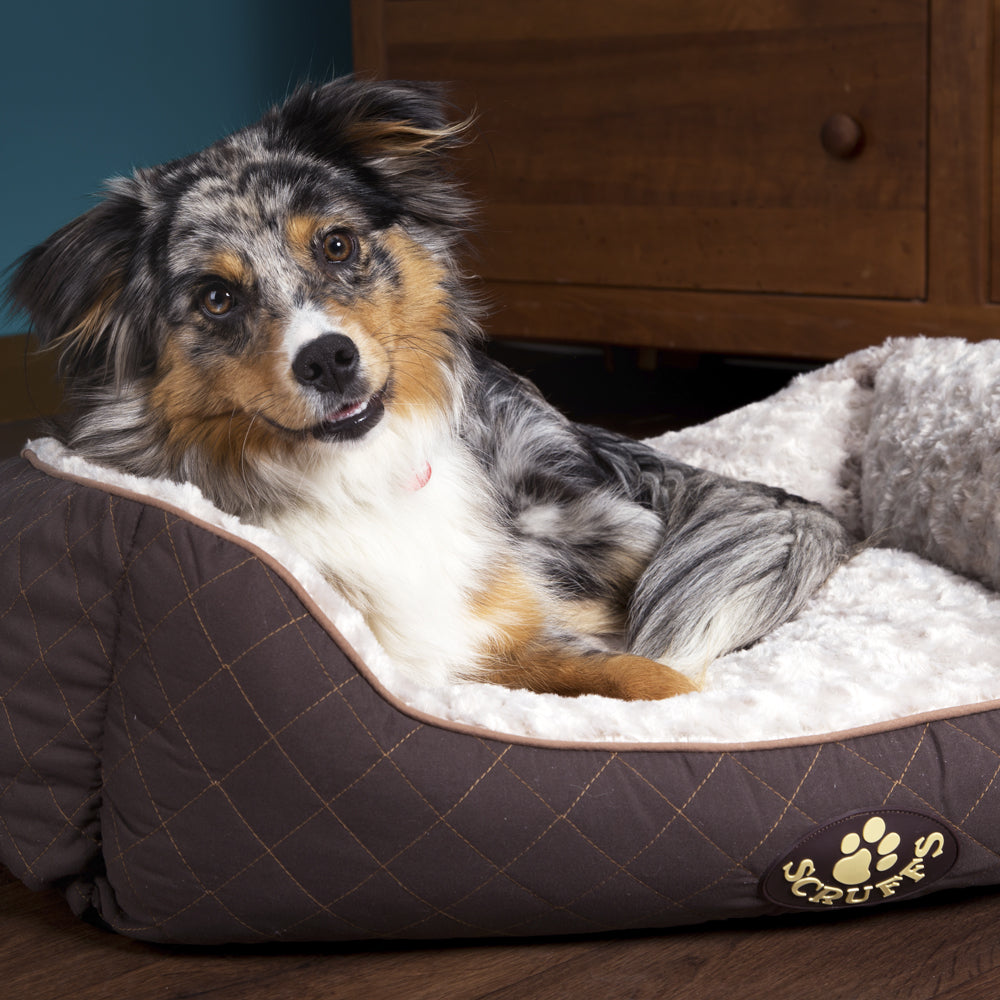Wilton Box Dog Bed (in Blue, Grey, Black, Brown) by Scruffs
