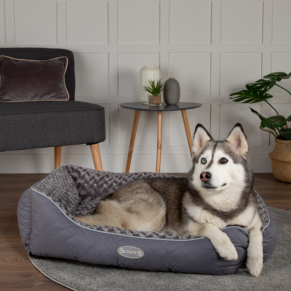 Wilton Box Dog Bed (in Blue, Grey, Black, Brown) by Scruffs
