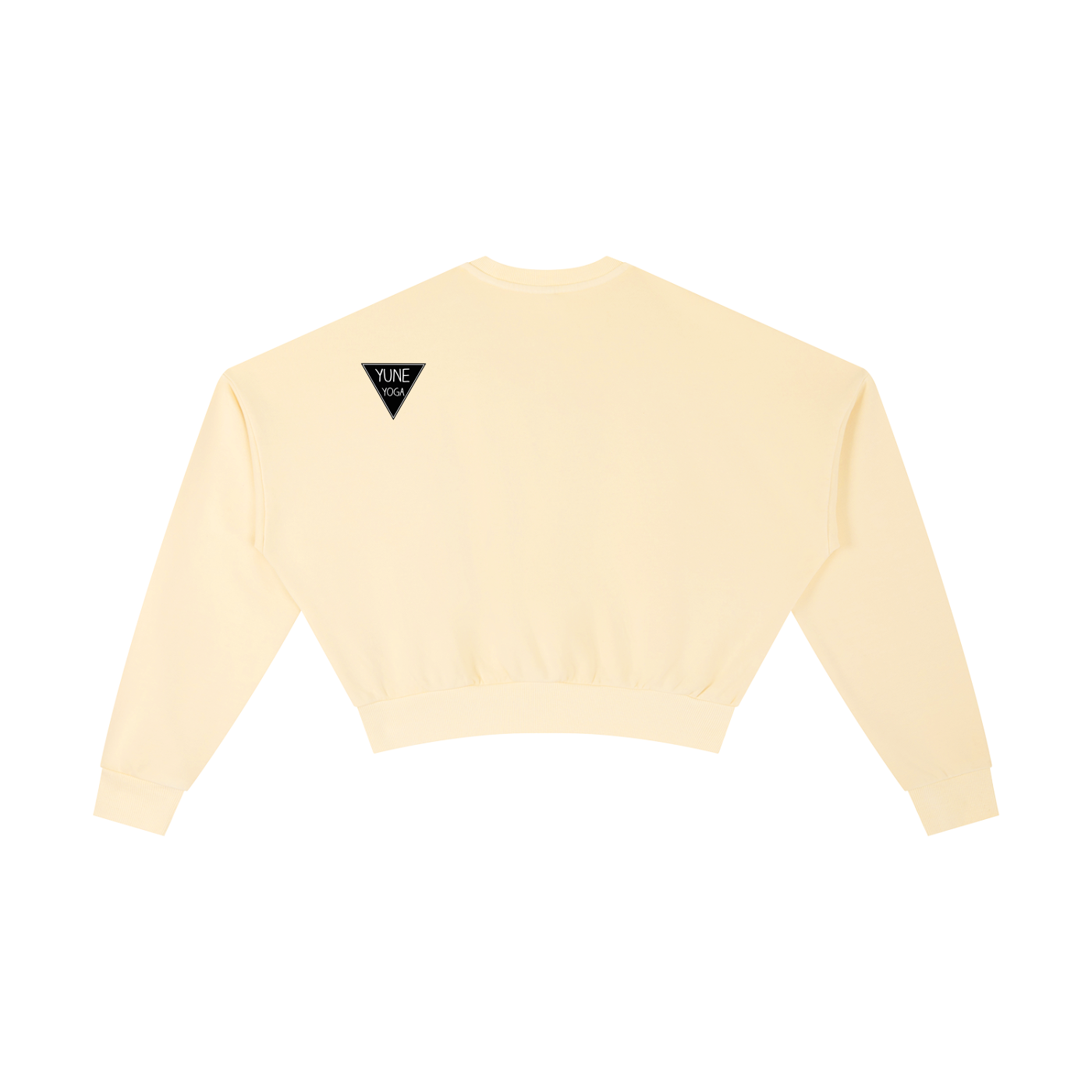Vintage Washed Cropped Sweatshirt-4