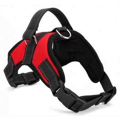 Adjustable Dog Harness 🐕‍🦺 Comfortable & Durable Pet Harness-4