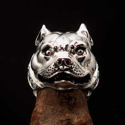 Excellent crafted Men's Ring Pitbull with white CZ Collar - Sterling Silver-2