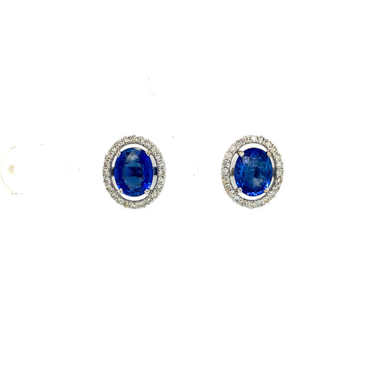 Sapphire and Diamond Earrings in 18K White Gold - KGT 33088-0