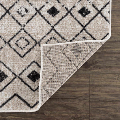 Joppatowne Washable Area Rug-4