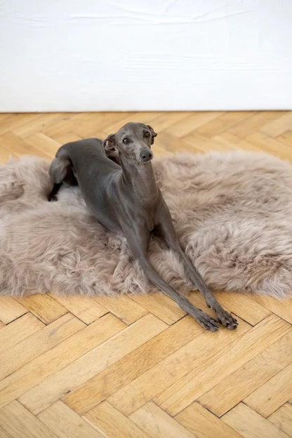 Square or Rectangular Natural Sheepskin Pet Mat - Greige-0