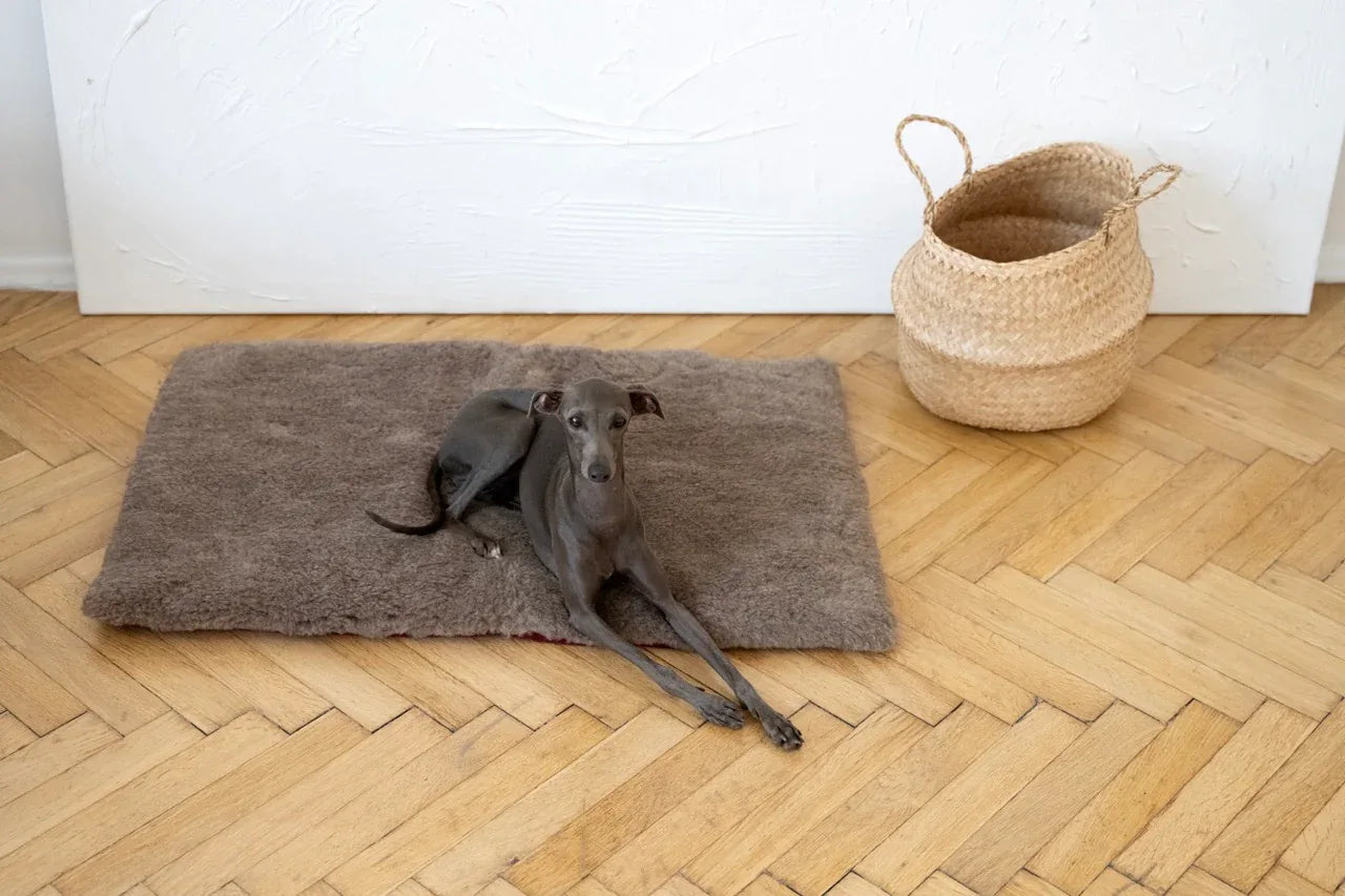 Square or Rectangular Natural Woolen Pet Mat - Beige-1