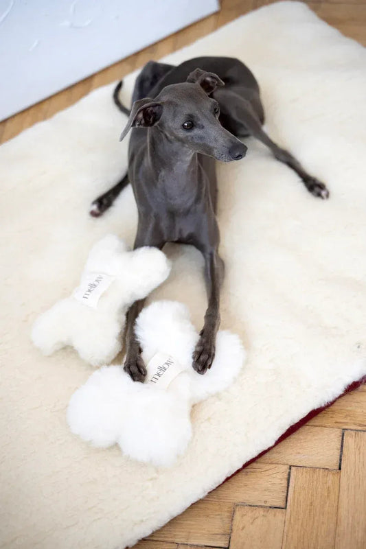 Natural Woolen Dog Toy - Bone - White-0