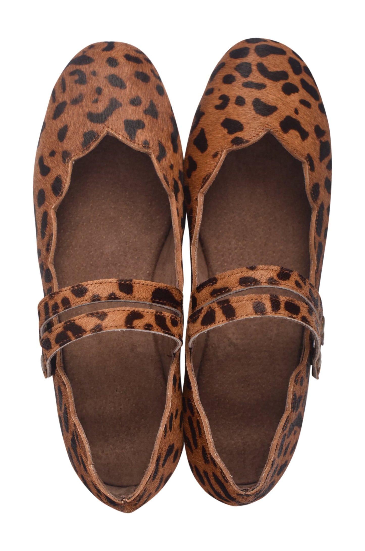 Daydream Animal Printed Flats-4