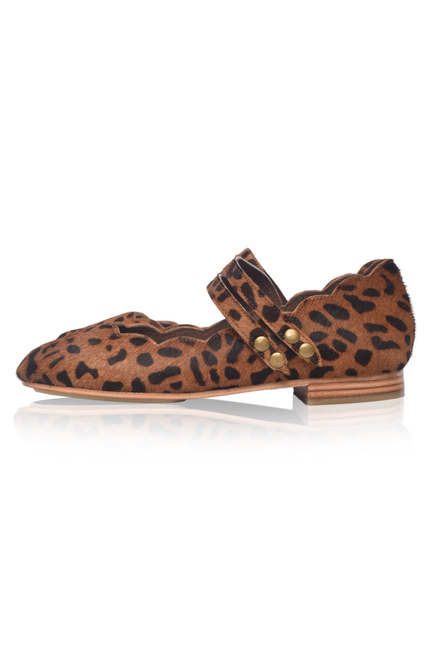 Daydream Animal Printed Flats-1