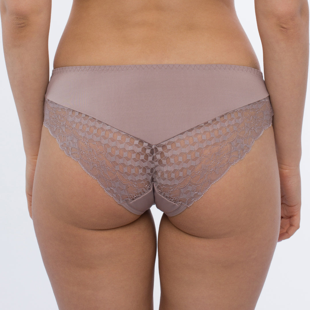 Sheer Mesh Tulle Lace Brief Panty Rosalia-1