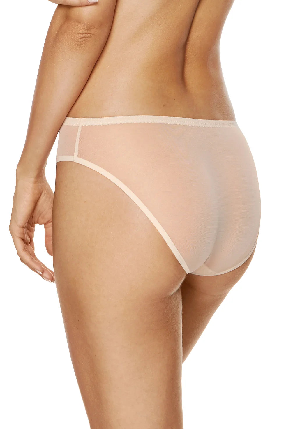 Sheer Mesh Embroidered Bikini Panty Gorteks Soleil-1