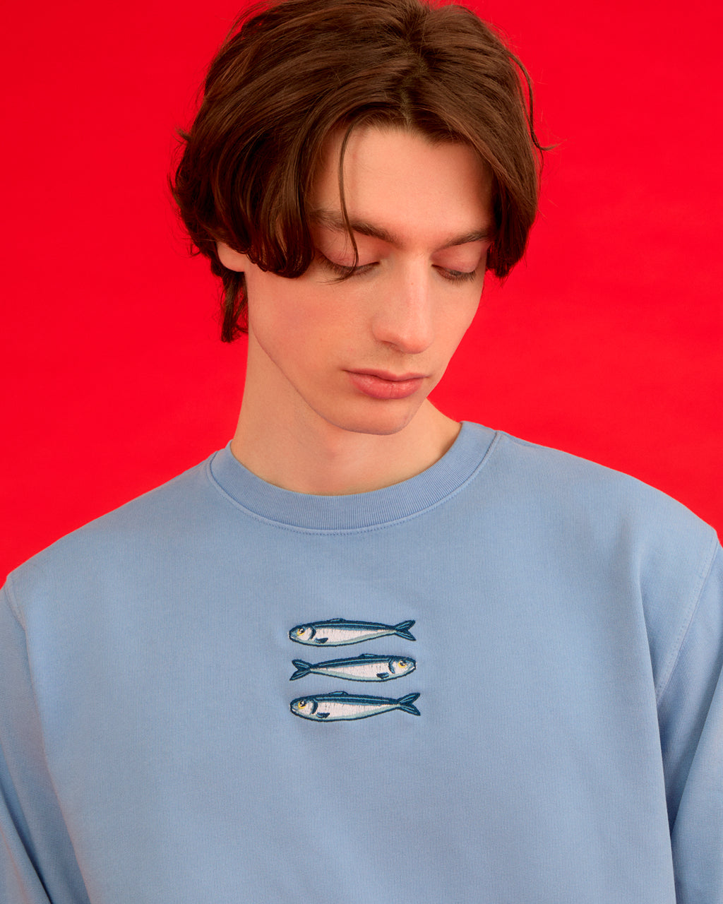 Sardines Organic Cotton Embroidered Sweatshirt Blue-2