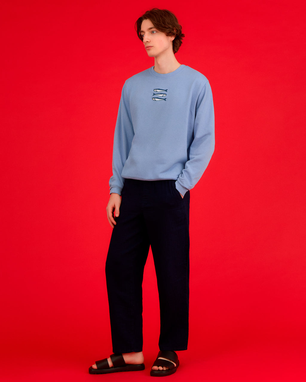 Sardines Organic Cotton Embroidered Sweatshirt Blue-1