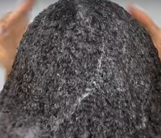 Mielle Sea Moss Anti-Shedding  Shampoo 236ml