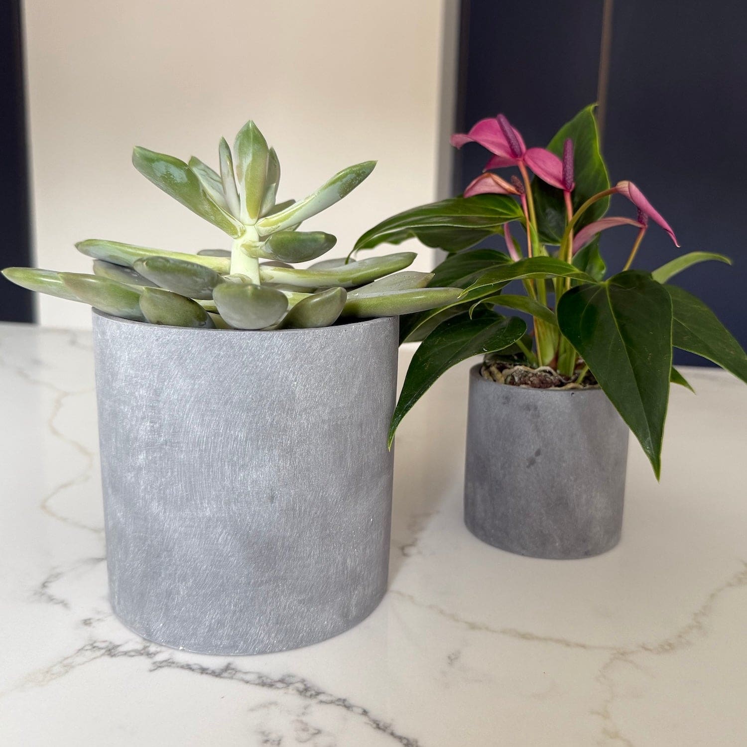 Aurello | Brushed Grey Stone Resin Indoor Plant Pots (Set of 2)-0