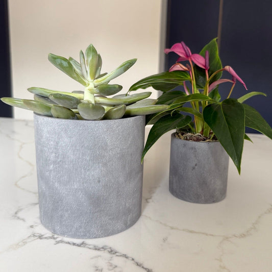 Aurello | Brushed Grey Stone Resin Indoor Plant Pots (Set of 2)-0