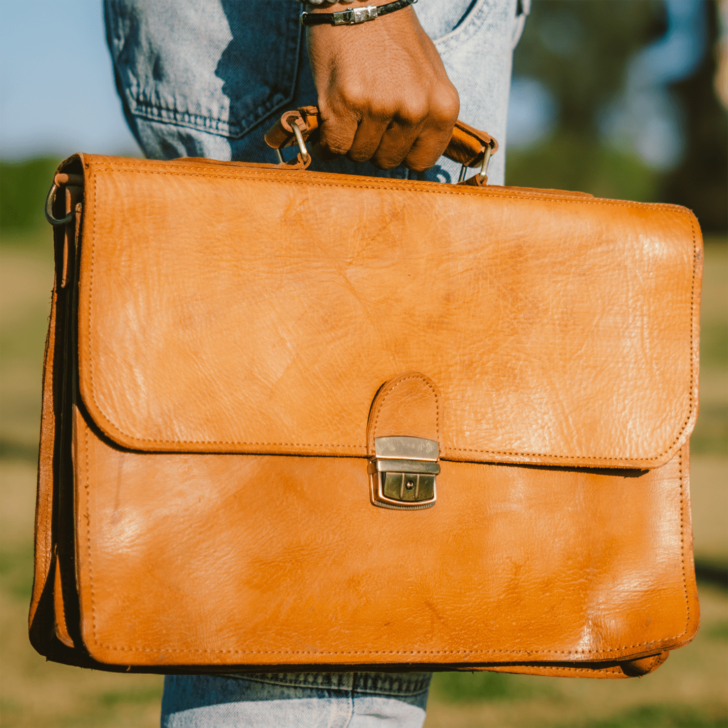 Briefcase Professional-0
