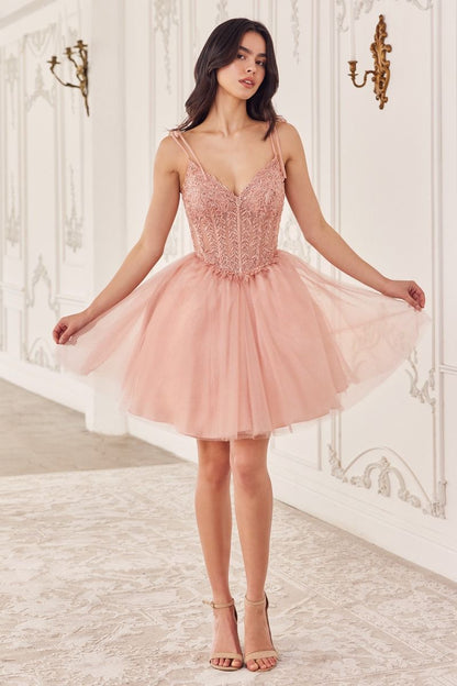 Blush pink tulle dress with a lace bodice and a V neckline.