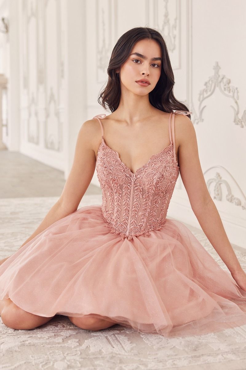 Blush pink tulle dress showing the layered tulle skirt and lace bodice.