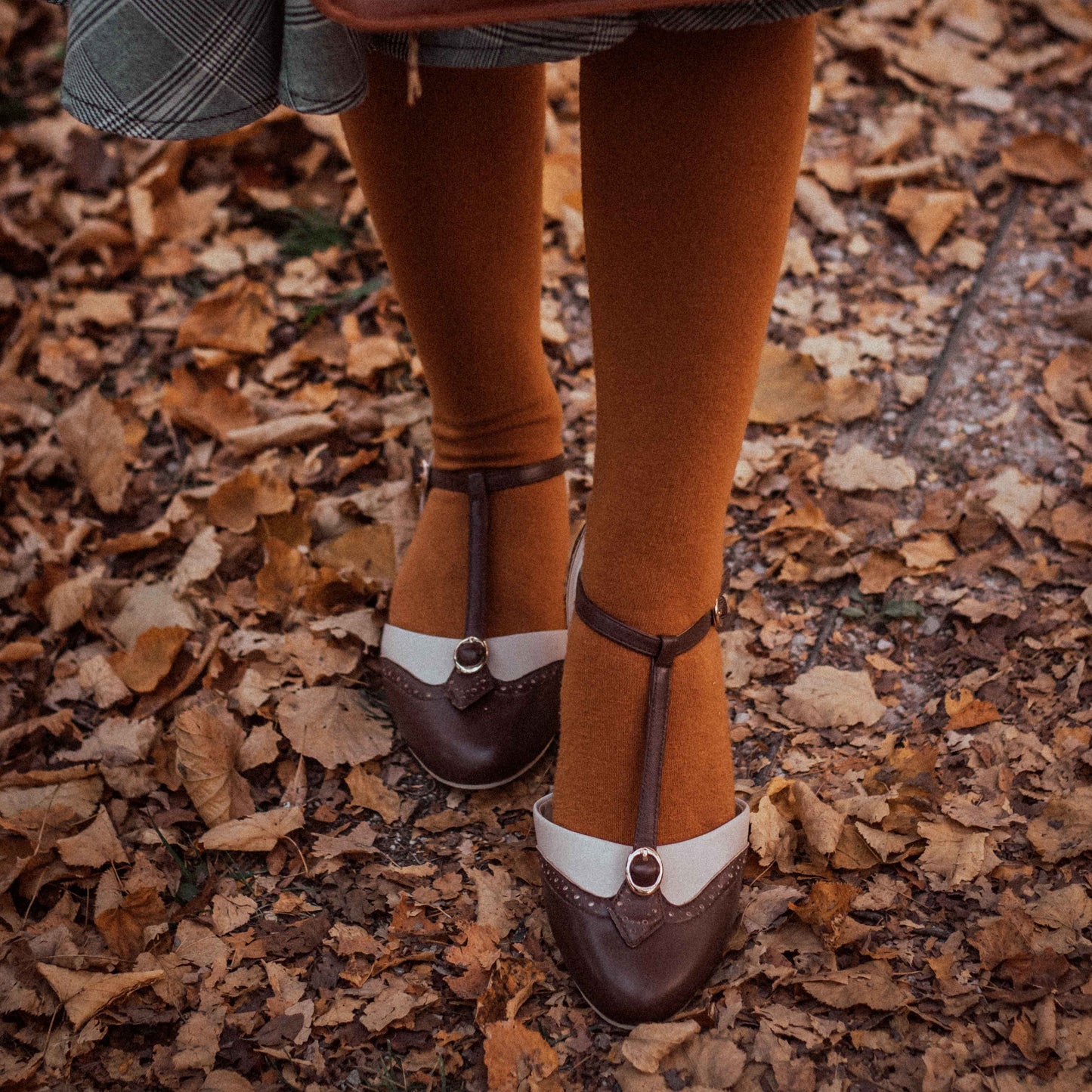 Parisienne (Beige/Espresso)-3