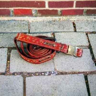 Chic Paws Bloom - Designer Dog Collar Set