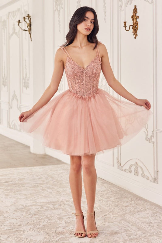 Blush pink tulle dress with a lace bodice and a V neckline.