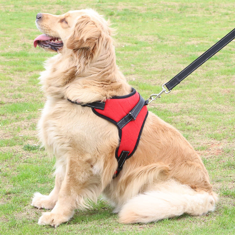 Adjustable Dog Harness 🐕‍🦺 Comfortable & Durable Pet Harness-1