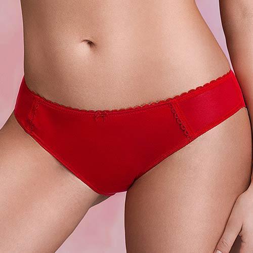 Sheer Back Bikini Panty Stefi L Crimson-0