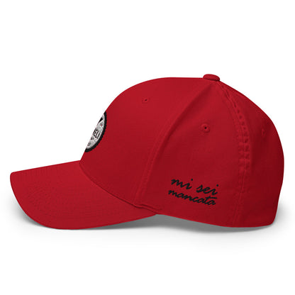 Vieni Qui Closed Back Structured Cap by Gianneli-3
