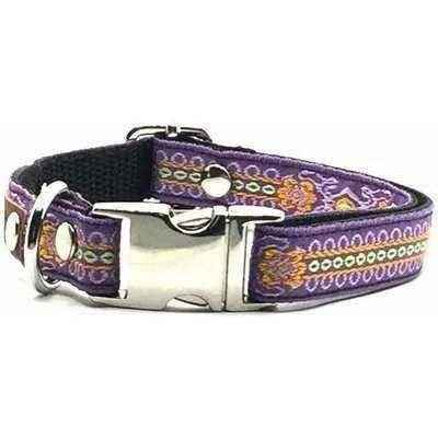 Finnigan's Charming Designer Dog Collar Set-3