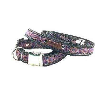 Finnigan's Fabulous Designer Dog Collar Set-2