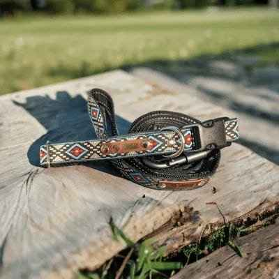 Finnigan's Luxe Pet Dog Collar Set-1