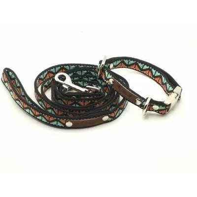 Finnigan's Whimsical Designer Dog Collar Set with Lead-1