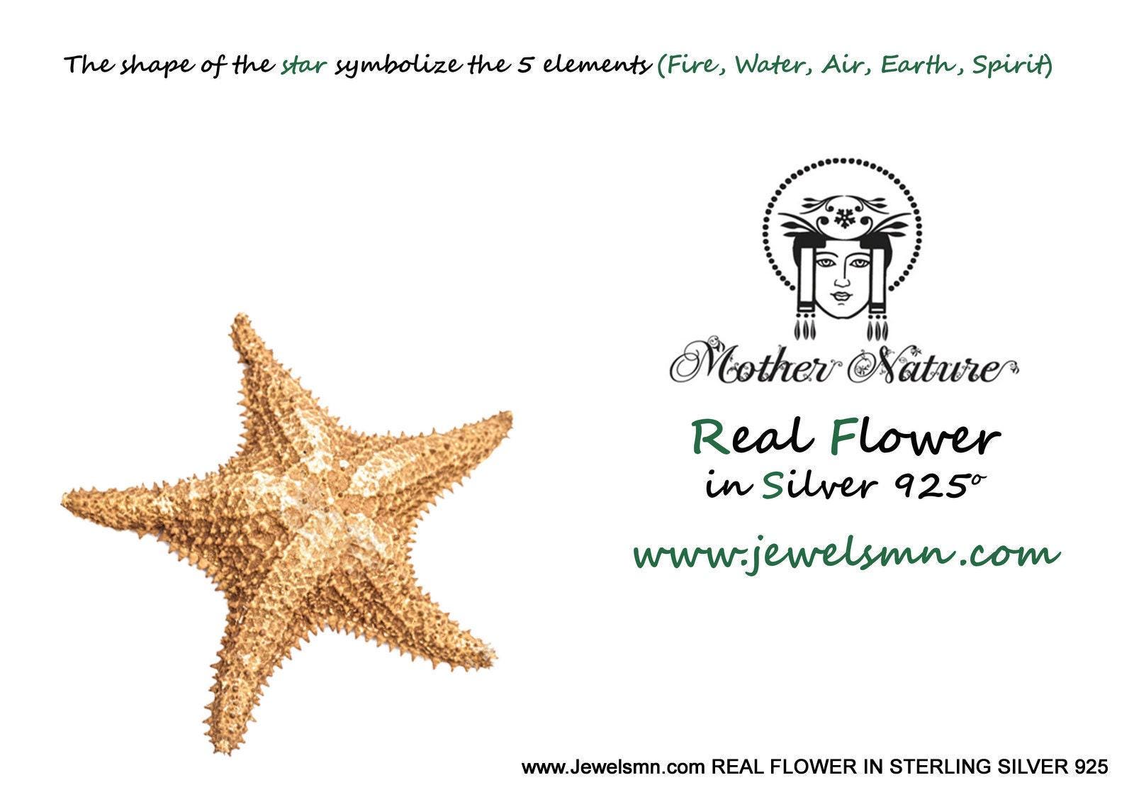 Starfish Stud Earrings: Ocean Inspired Jewelry (Gold Plated)-2