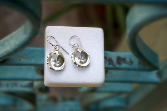 Beach Jewelry Silver Earrings, Sea Shell Dangles (Small, Lightweight)-0