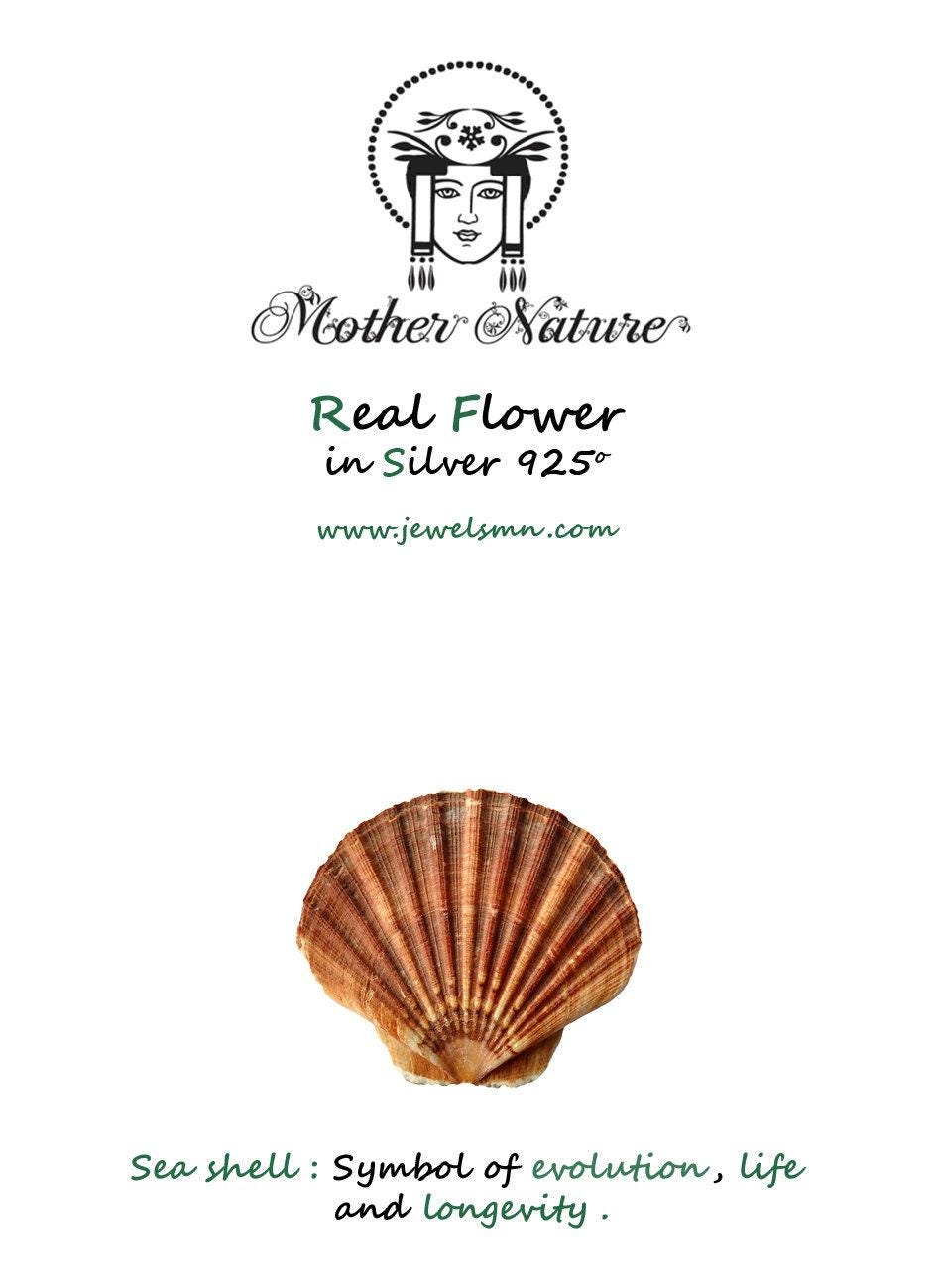 Sea Shell Earrings: Nature-Inspired Small Studs (Silver or Gold Plated)-4