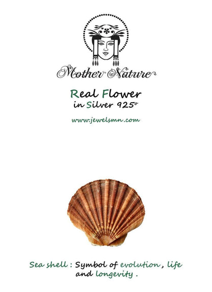 Sea Shell Earrings: Nature-Inspired Small Studs (Silver or Gold Plated)-4