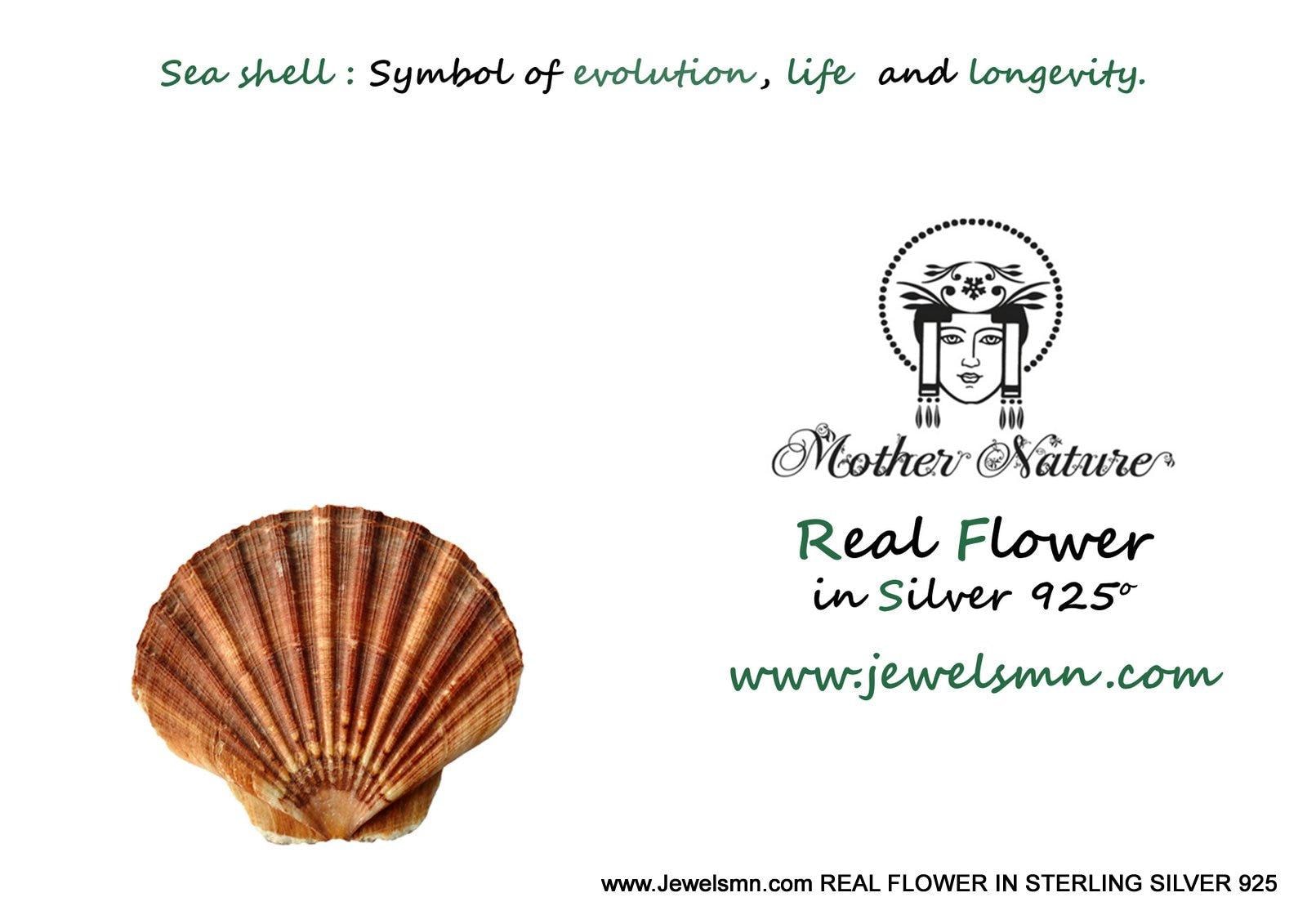 Sea Shell Earrings: Sterling Silver - Handmade Beach Jewelry-1